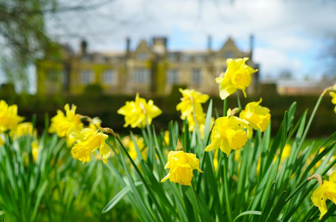 Gisborough Hall Hotel Guisborough Exterior foto